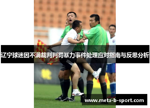 辽宁球迷因不满裁判判罚暴力事件处理应对指南与反思分析