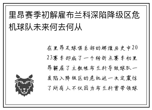 里昂赛季初解雇布兰科深陷降级区危机球队未来何去何从 里昂赛季初解雇布兰科深陷降级区危机球队未来何去何从
